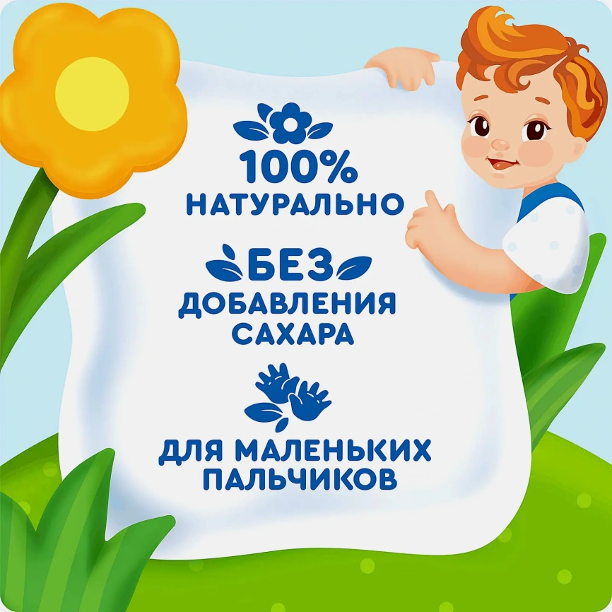 Фруктовые пастилки яблоко-черника-малина с 12 месяцев Агуша 12г фото 3